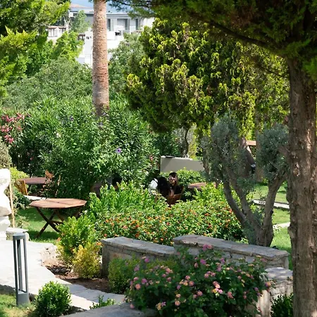 Elementa Boutique - Adults Only